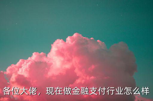 各位大佬，現(xiàn)在做金融支付行業(yè)怎么樣