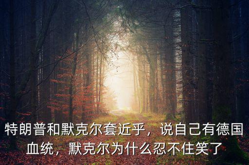 特朗普和默克爾套近乎，說(shuō)自己有德國(guó)血統(tǒng)，默克爾為什么忍不住笑了
