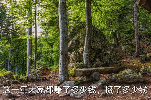 這一年大家都賺了多少錢，攢了多少錢
