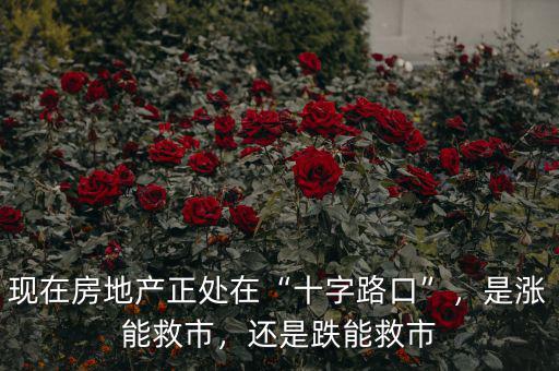 現(xiàn)在房地產(chǎn)正處在“十字路口”，是漲能救市，還是跌能救市