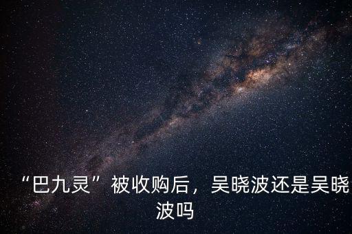 “巴九靈”被收購后，吳曉波還是吳曉波嗎