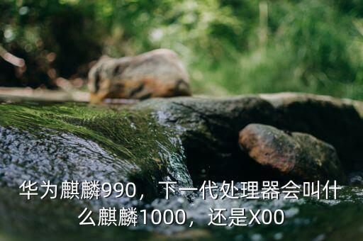華為麒麟990，下一代處理器會叫什么麒麟1000，還是X00