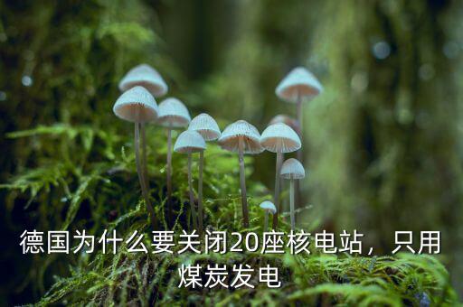 德國為什么要關(guān)閉20座核電站，只用煤炭發(fā)電