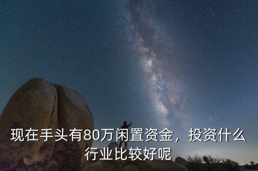 現(xiàn)在手頭有80萬閑置資金，投資什么行業(yè)比較好呢