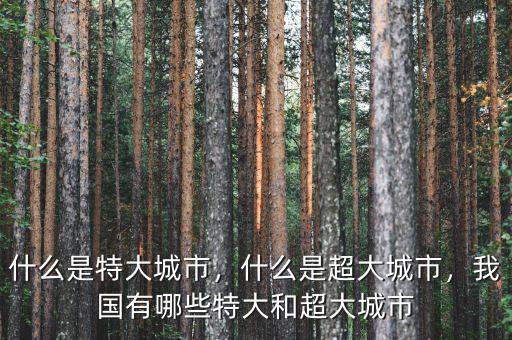 什么是特大城市，什么是超大城市，我國有哪些特大和超大城市
