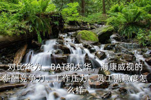 桐廬海康威視怎么樣,員工滿(mǎn)意度怎么樣