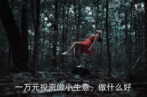 一萬元投資做小生意，做什么好