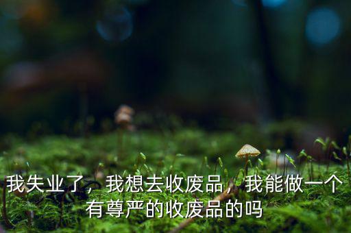 我失業(yè)了，我想去收廢品，我能做一個(gè)有尊嚴(yán)的收廢品的嗎