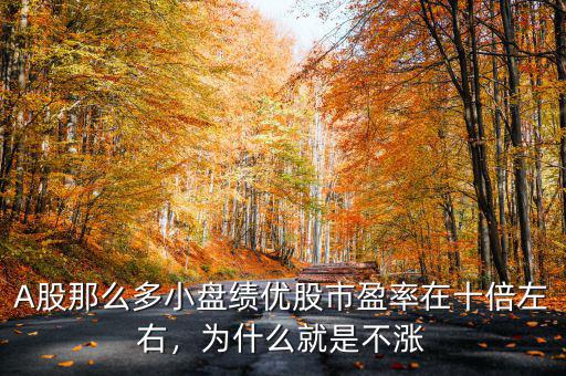 A股那么多小盤績(jī)優(yōu)股市盈率在十倍左右，為什么就是不漲