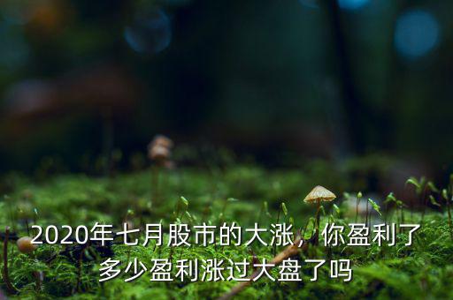 2020年七月股市的大漲，你盈利了多少盈利漲過(guò)大盤了嗎