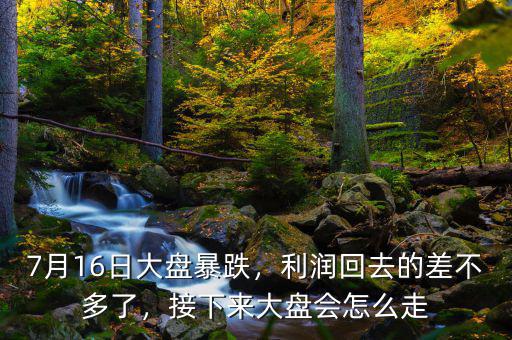 7月16日大盤暴跌，利潤回去的差不多了，接下來大盤會(huì)怎么走