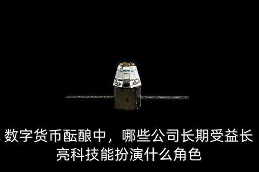 數(shù)字貨幣醞釀中，哪些公司長(zhǎng)期受益長(zhǎng)亮科技能扮演什么角色