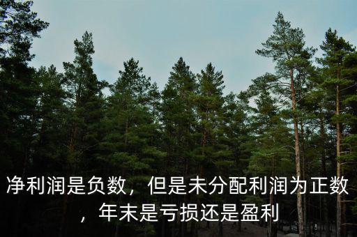 凈利潤是負(fù)數(shù)，但是未分配利潤為正數(shù)，年末是虧損還是盈利