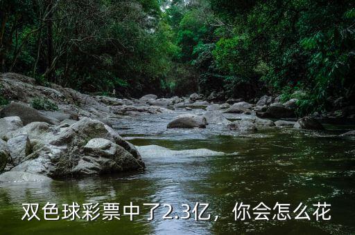 雙色球彩票中了2.3億，你會(huì)怎么花