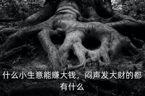 什么小生意能賺大錢，悶聲發(fā)大財?shù)亩加惺裁? class=