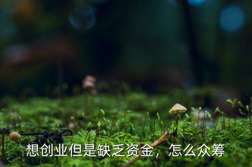 想創(chuàng)業(yè)但是缺乏資金，怎么眾籌