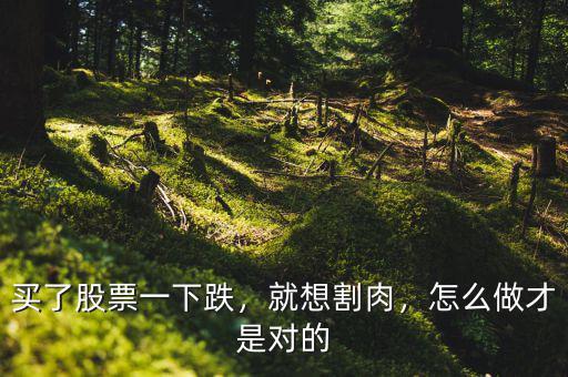 買(mǎi)了股票一下跌，就想割肉，怎么做才是對(duì)的