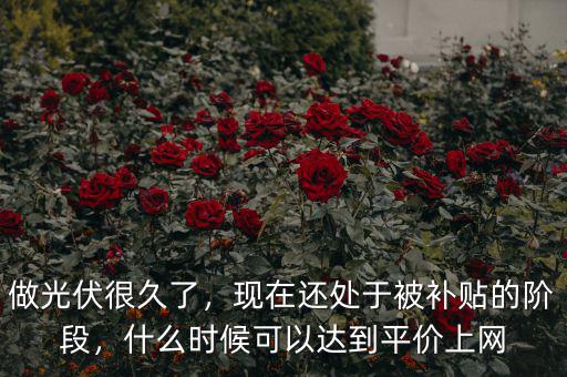 做光伏很久了，現在還處于被補貼的階段，什么時候可以達到平價上網