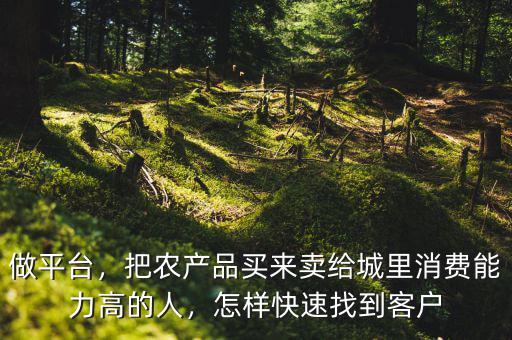 做平臺，把農(nóng)產(chǎn)品買來賣給城里消費能力高的人，怎樣快速找到客戶
