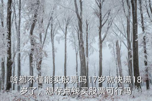 啥都不懂能買股票嗎17歲就快滿18歲了，想存點(diǎn)錢買股票可行嗎