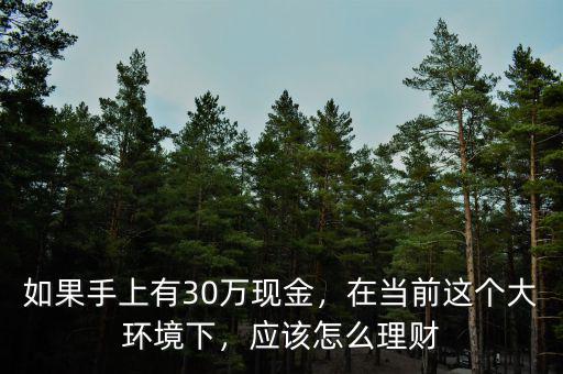 如果手上有30萬現(xiàn)金，在當(dāng)前這個(gè)大環(huán)境下，應(yīng)該怎么理財(cái)