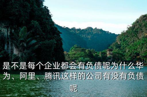 是不是每個企業(yè)都會有負(fù)債呢為什么華為、阿里、騰訊這樣的公司有沒有負(fù)債呢