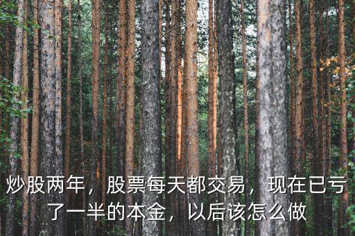炒股兩年，股票每天都交易，現(xiàn)在已虧了一半的本金，以后該怎么做