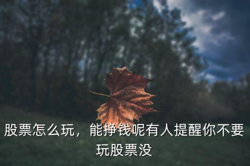 股票怎么玩，能掙錢呢有人提醒你不要玩股票沒(méi)