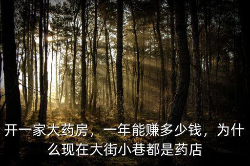 開一家大藥房，一年能賺多少錢，為什么現(xiàn)在大街小巷都是藥店
