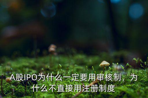A股IPO為什么一定要用審核制，為什么不直接用注冊(cè)制度