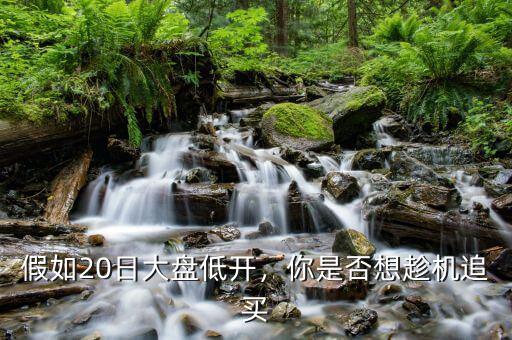 假如20日大盤(pán)低開(kāi)，你是否想趁機(jī)追買(mǎi)