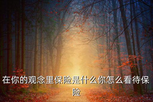 在你的觀(guān)念里保險(xiǎn)是什么你怎么看待保險(xiǎn)