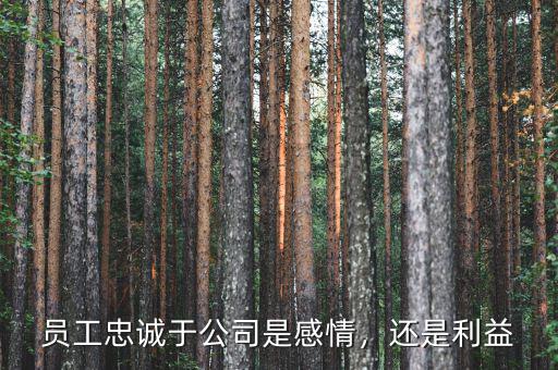 員工忠誠于公司是感情，還是利益