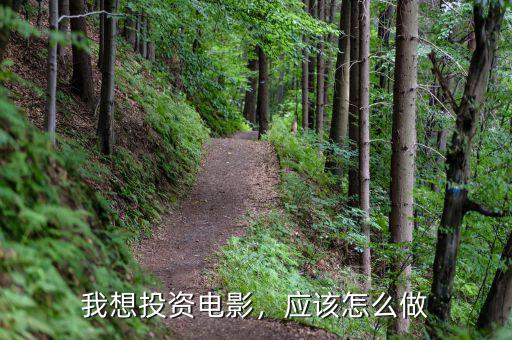 我想投資電影，應(yīng)該怎么做