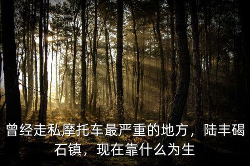 曾經(jīng)走私摩托車最嚴重的地方，陸豐碣石鎮(zhèn)，現(xiàn)在靠什么為生