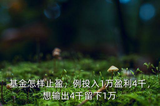 基金怎樣止盈，例投入1萬盈利4千，想輸出4千留下1萬