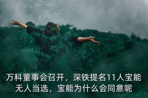 萬科董事會(huì)召開，深鐵提名11人寶能無人當(dāng)選，寶能為什么會(huì)同意呢