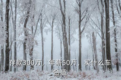 存款300萬(wàn)，年薪50萬(wàn)，買(mǎi)什么車(chē)合適