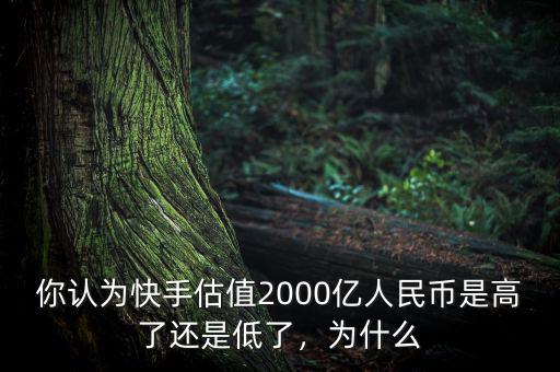 你認為快手估值2000億人民幣是高了還是低了，為什么