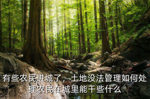 有些農(nóng)民進(jìn)城了，土地沒法管理如何處理農(nóng)民在城里能干些什么