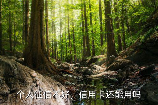 個人征信不好，信用卡還能用嗎