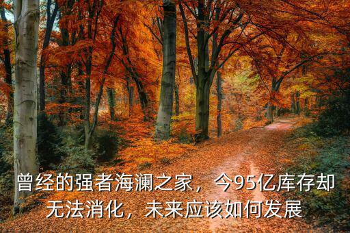 曾經(jīng)的強(qiáng)者海瀾之家，今95億庫存卻無法消化，未來應(yīng)該如何發(fā)展