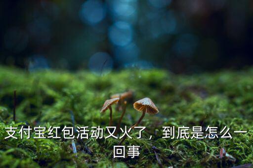 支付寶紅包活動又火了，到底是怎么一回事