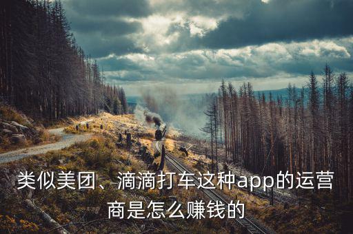 類似美團(tuán)、滴滴打車這種app的運(yùn)營(yíng)商是怎么賺錢的