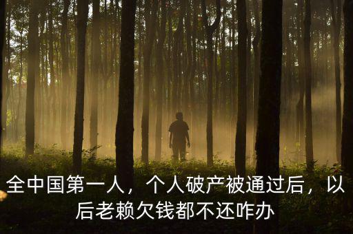 全中國(guó)第一人，個(gè)人破產(chǎn)被通過(guò)后，以后老賴欠錢都不還咋辦