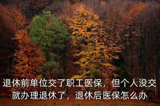 退休前單位交了職工醫(yī)保，但個(gè)人沒(méi)交就辦理退休了，退休后醫(yī)保怎么辦