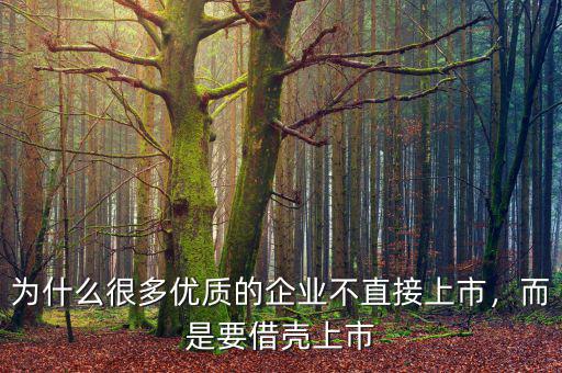 為什么很多優(yōu)質(zhì)的企業(yè)不直接上市，而是要借殼上市