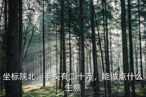 坐標(biāo)陜北，手頭有二十萬，能做點什么生意