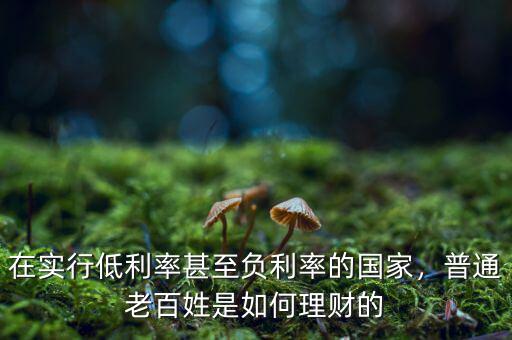 在實(shí)行低利率甚至負(fù)利率的國家，普通老百姓是如何理財(cái)?shù)? class=