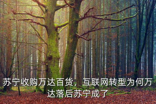 蘇寧收購萬達(dá)百貨，互聯(lián)網(wǎng)轉(zhuǎn)型為何萬達(dá)落后蘇寧成了